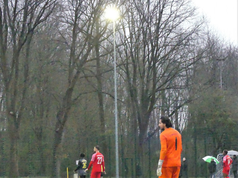 Foto: Bobby Blue / Torsten Bobrink 