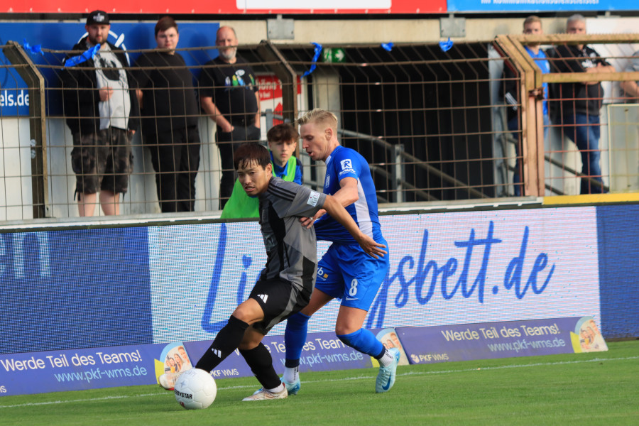   Foto: SV Meppen