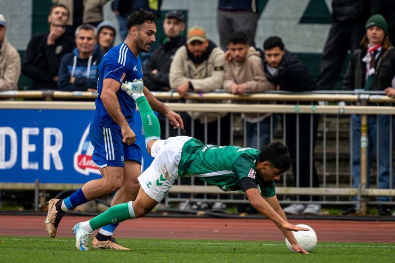 Foto: Sven Peter 