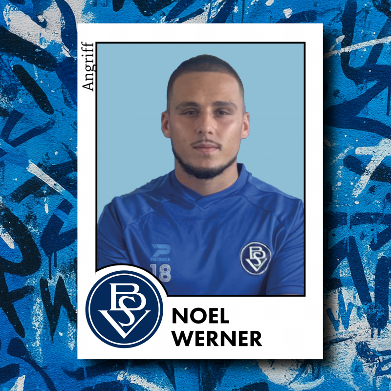 noel werner
