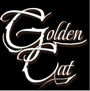 22 Golden Cat